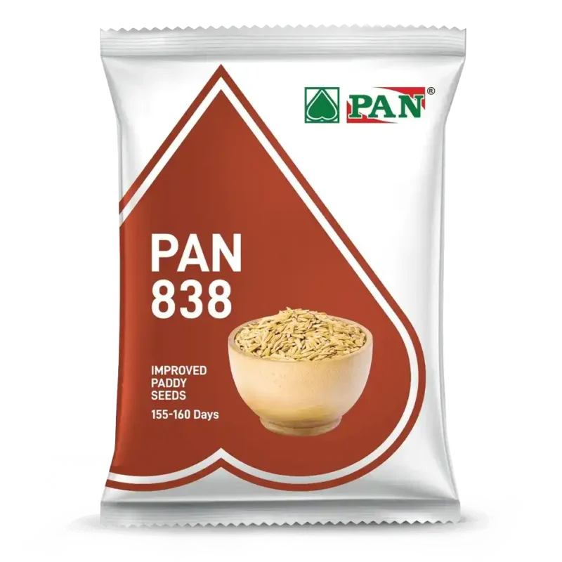 838