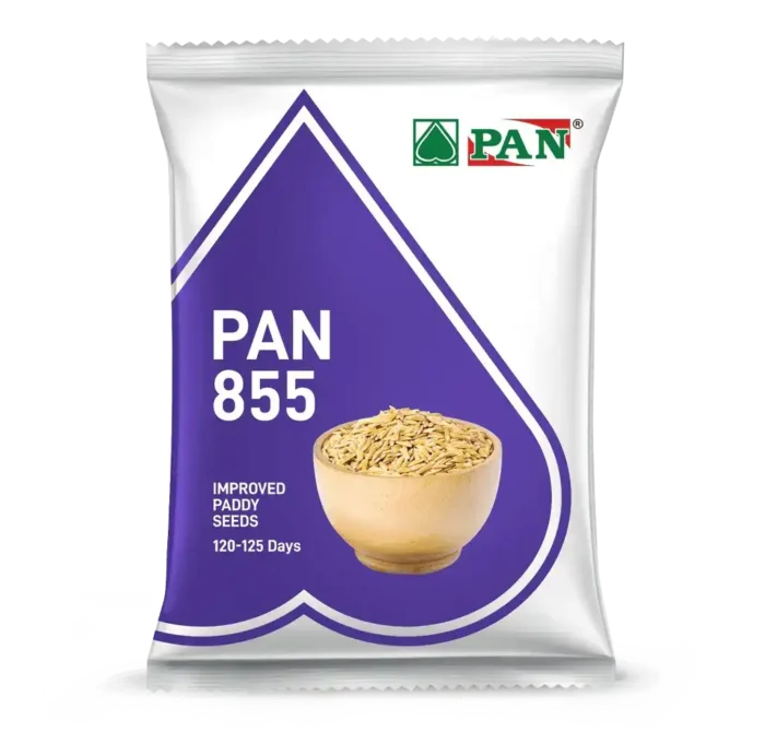 855