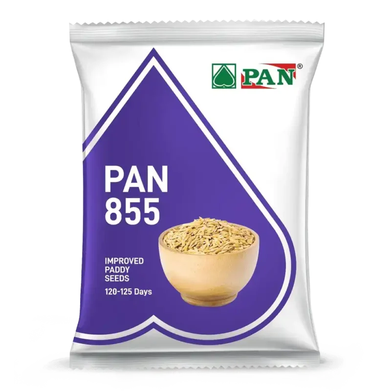 855