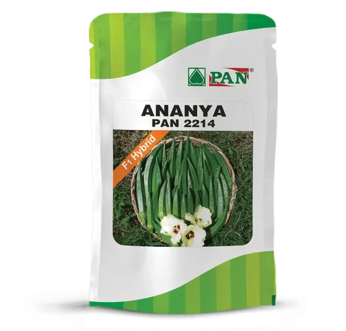ANANYA-PAN-2214-1