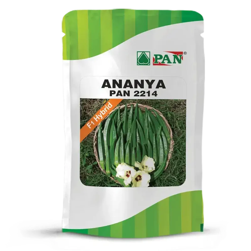 ANANYA-PAN-2214-1