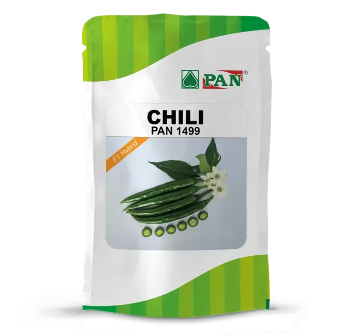 CHILI