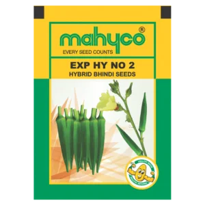 EXP-HY-NO-2