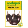 MAHY-024