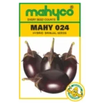 MAHY-024