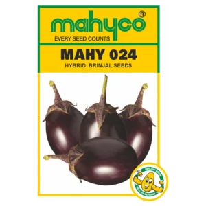MAHY-024
