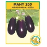 MAHY-205