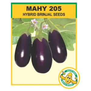 MAHY-205