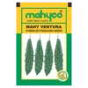 MAHY-VENTURA
