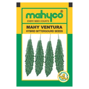 MAHY-VENTURA