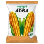 MAIZE-MRM-4064–Z-Plus