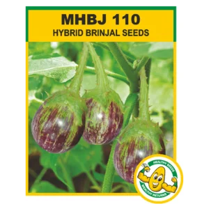 MHBJ-110