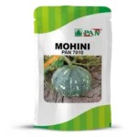 MOHINI