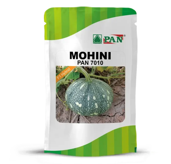 MOHINI
