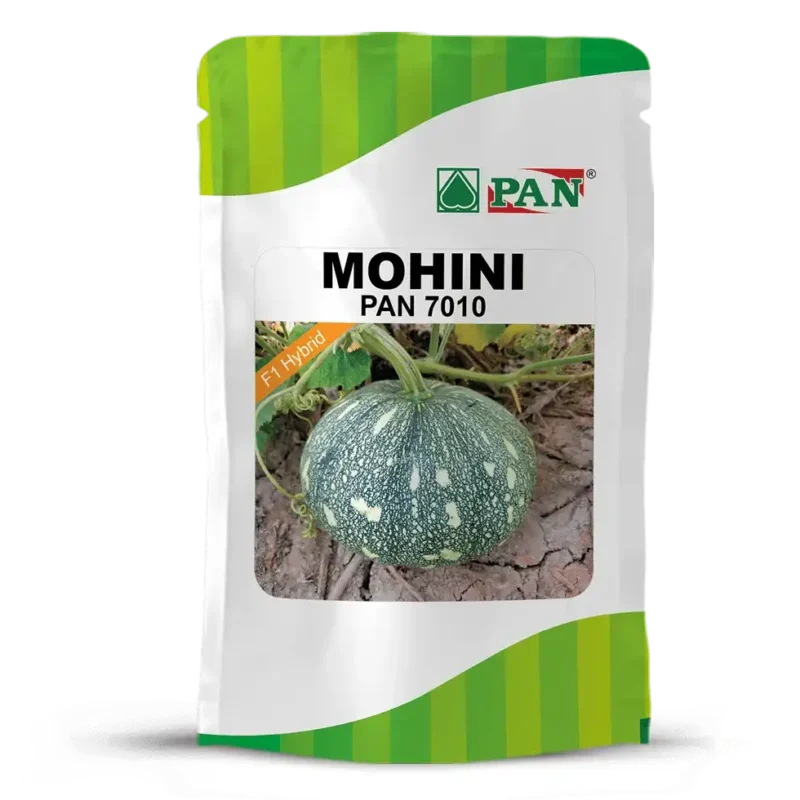 MOHINI