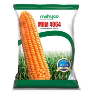 MAIZE MRM 4064 - Najdikimandi.com