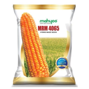 MAIZE MRM 4065 - Najdikimandi.com