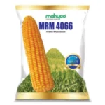MRM-4066