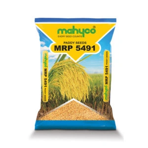 MRP-5491