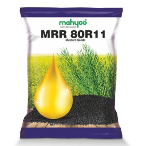 MRR-80R11