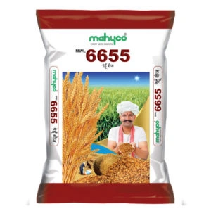 MWL-6655