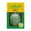 Mahy-1-Ashgourd
