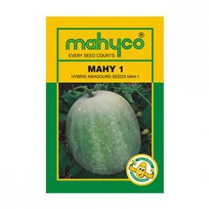 Mahy-1-Ashgourd