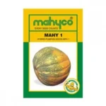 Mahy-1-Pumpkin