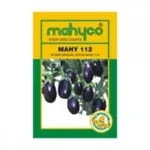 Mahy-112-Brinjal