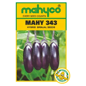 Mahy-343
