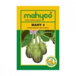 Mahy-4-Brinjal
