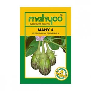 Mahy-4-Brinjal