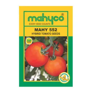 Mahy-552