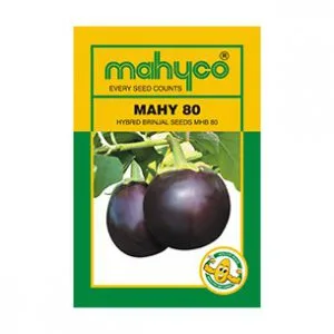 MAHY 80 (MHB 80) - Najdikimandi.com