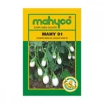 Mahy-91-Brinjal