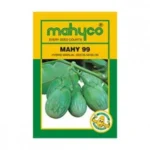 Mahy-99- Brinjal