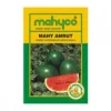 Mahy-Amrut