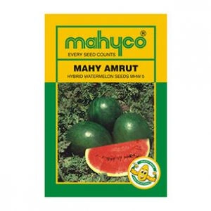 Mahy-Amrut