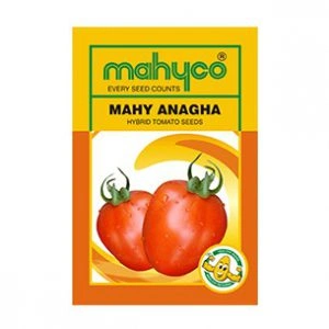 Mahy-Anagha