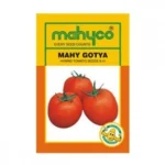 Mahy-Gotya