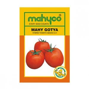 Mahy-Gotya