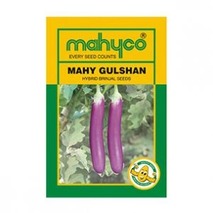 Mahy-Gulshan
