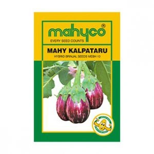 MAHY 80 (MHB 80) - Najdikimandi.com