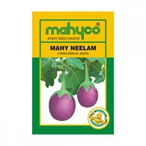 Mahy-Neelam