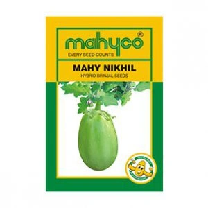 Mahy-Nikhil