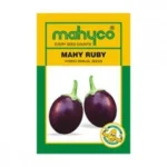 Mahy-Ruby-Brinjal