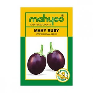 Mahy-Ruby-Brinjal