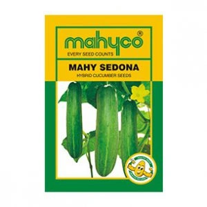 Mahy-SEDONA