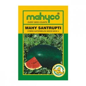 Mahy-Santrupti