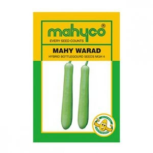 Mahy-Warad